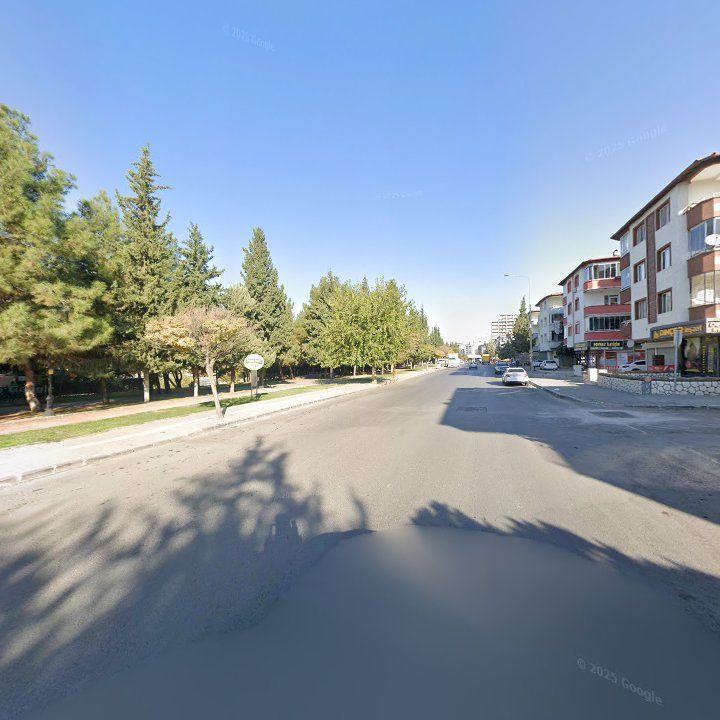 Fotoğraf 9