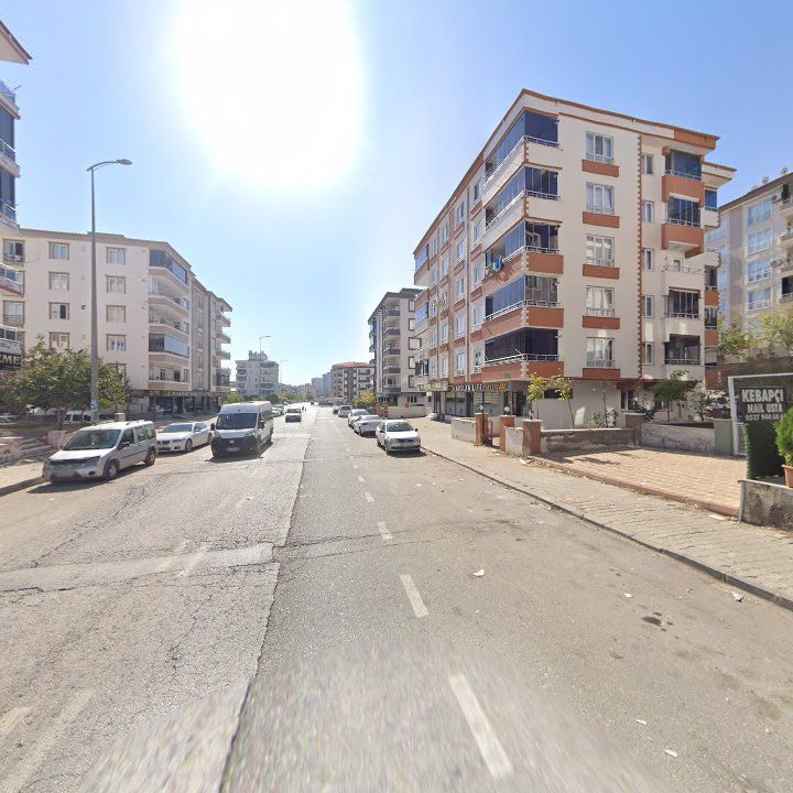 Fotoğraf 9