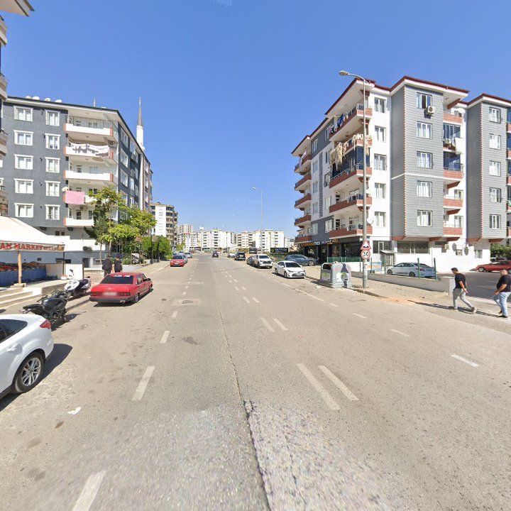 Fotoğraf 7