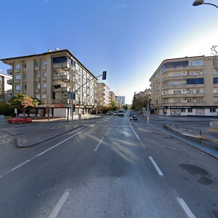Fotoğraf 15