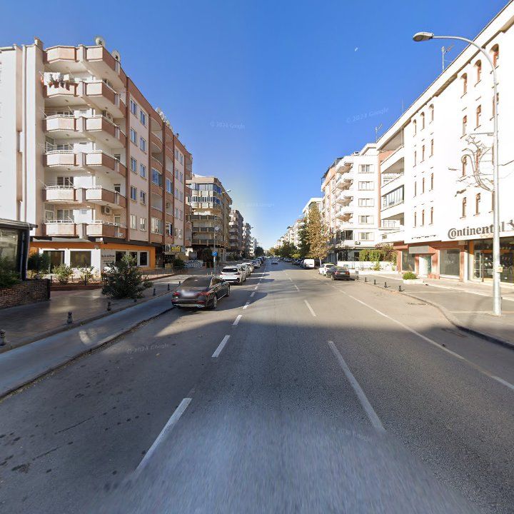 Fotoğraf 13
