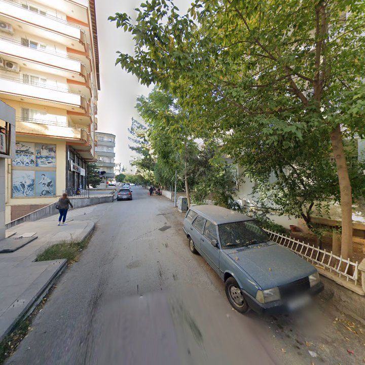 Fotoğraf 10