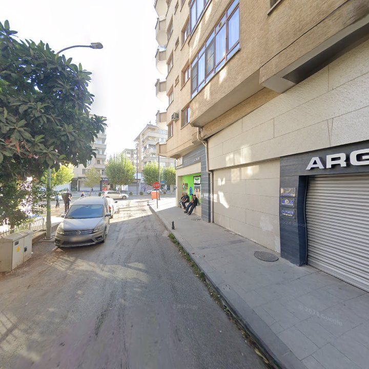 Fotoğraf 8