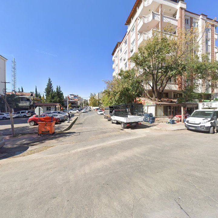 Fotoğraf 13