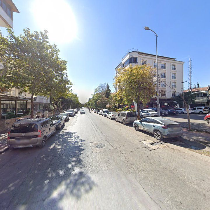 Fotoğraf 12