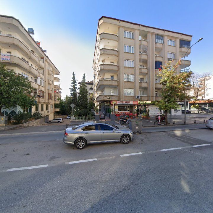 Fotoğraf 7