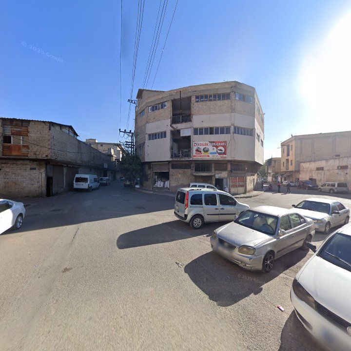 Fotoğraf 8