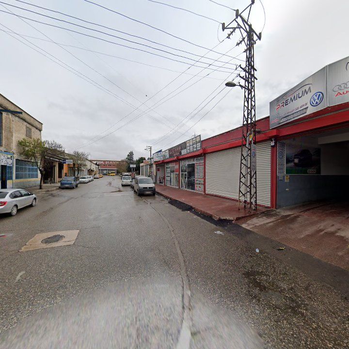 Fotoğraf 11