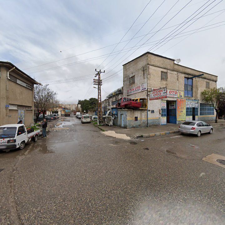 Fotoğraf 10