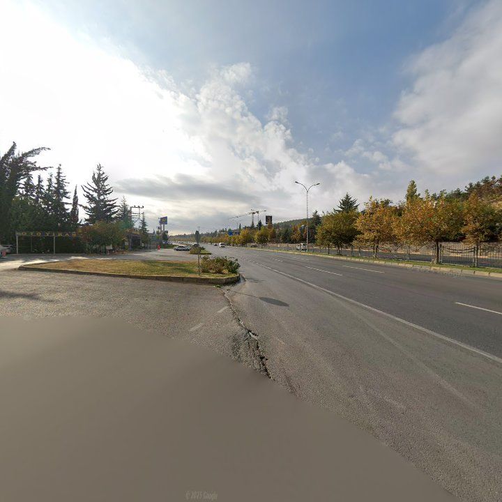 Fotoğraf 15