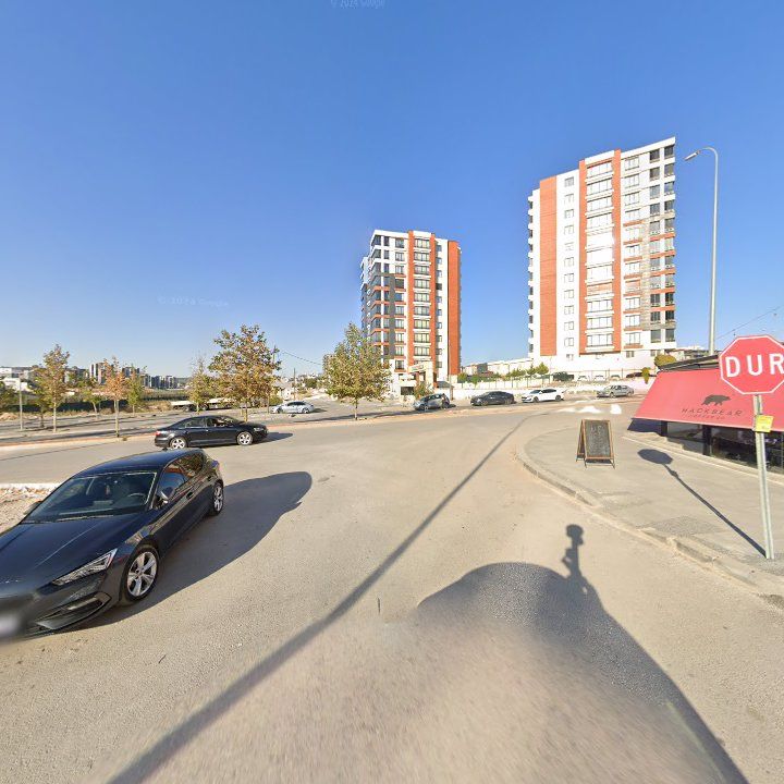 Fotoğraf 9