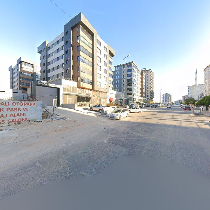 Fotoğraf 7