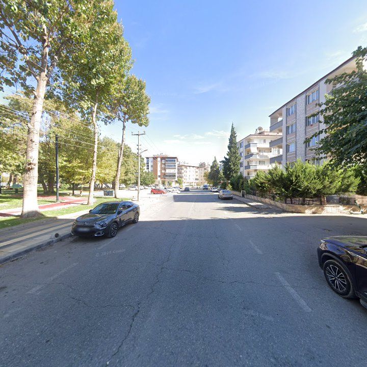 Fotoğraf 12