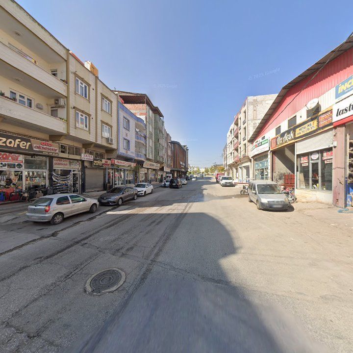 Fotoğraf 7