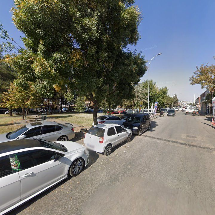 Fotoğraf 9