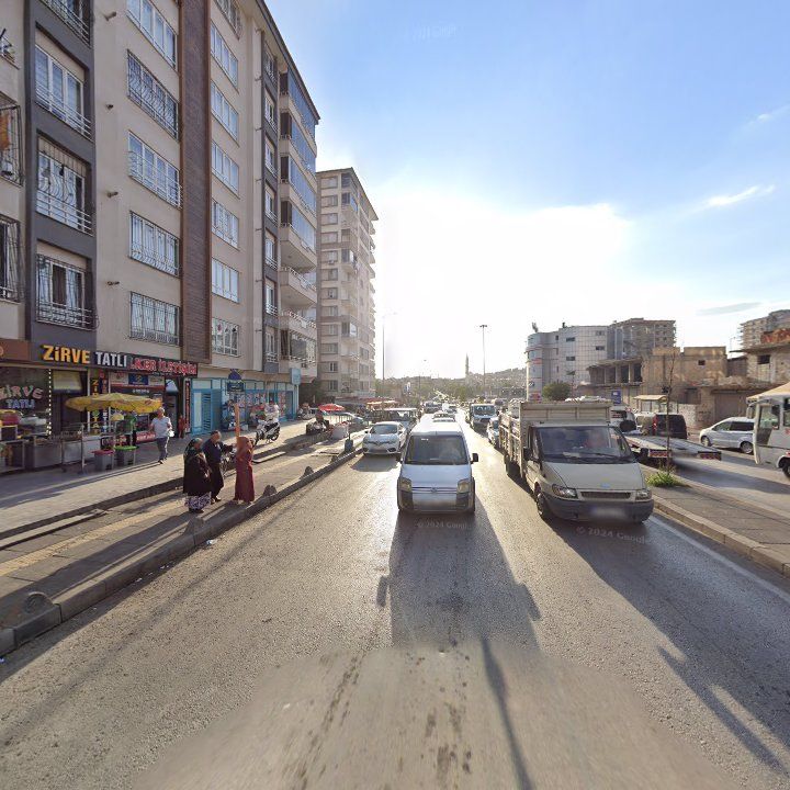 Fotoğraf 14