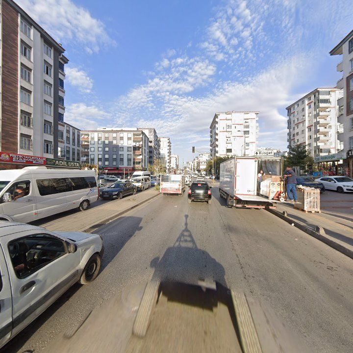 Fotoğraf 16