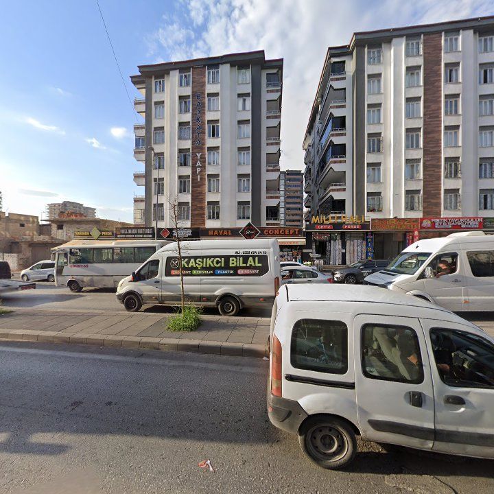 Fotoğraf 15