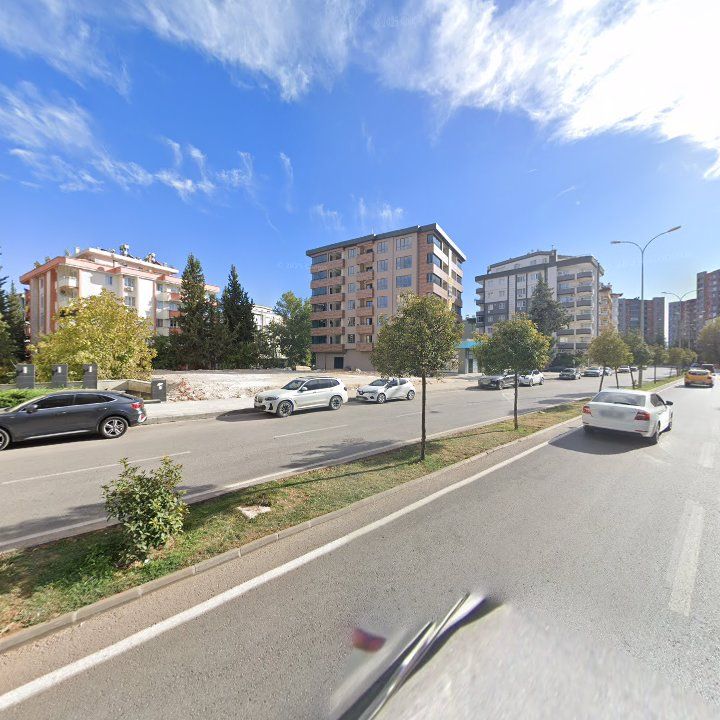 Fotoğraf 15