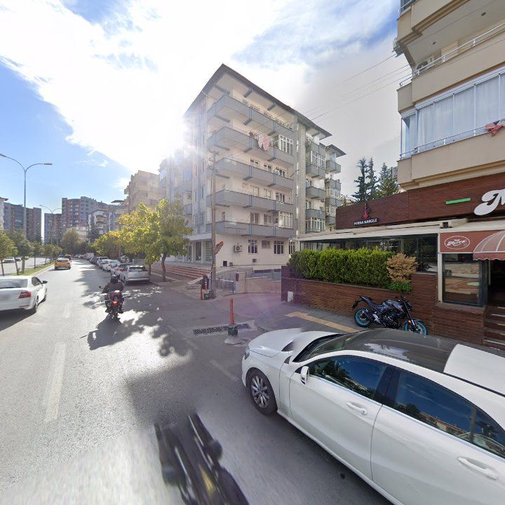 Fotoğraf 16