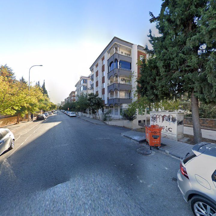 Fotoğraf 10