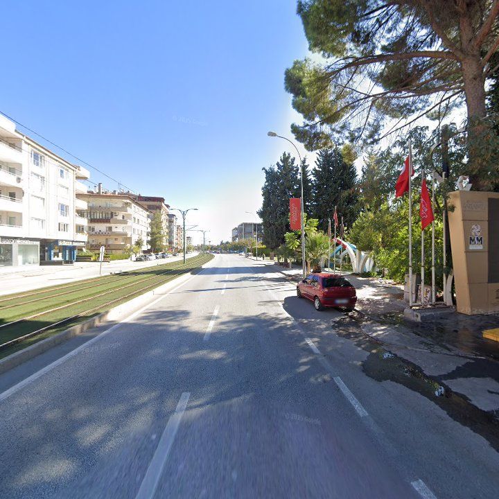 Fotoğraf 17
