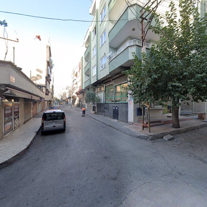 Fotoğraf 6