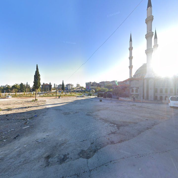 Fotoğraf 3