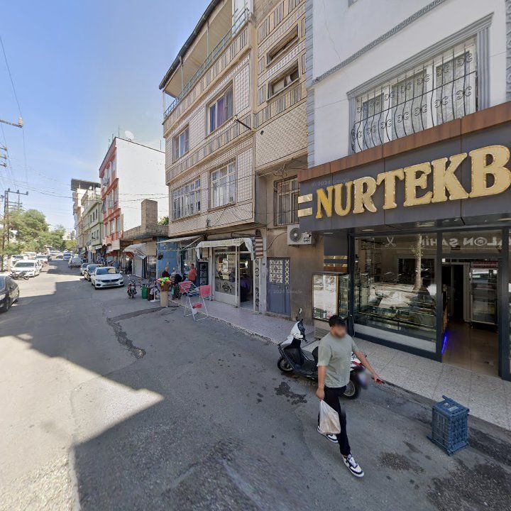 Fotoğraf 12