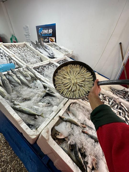 Fotoğraf 3