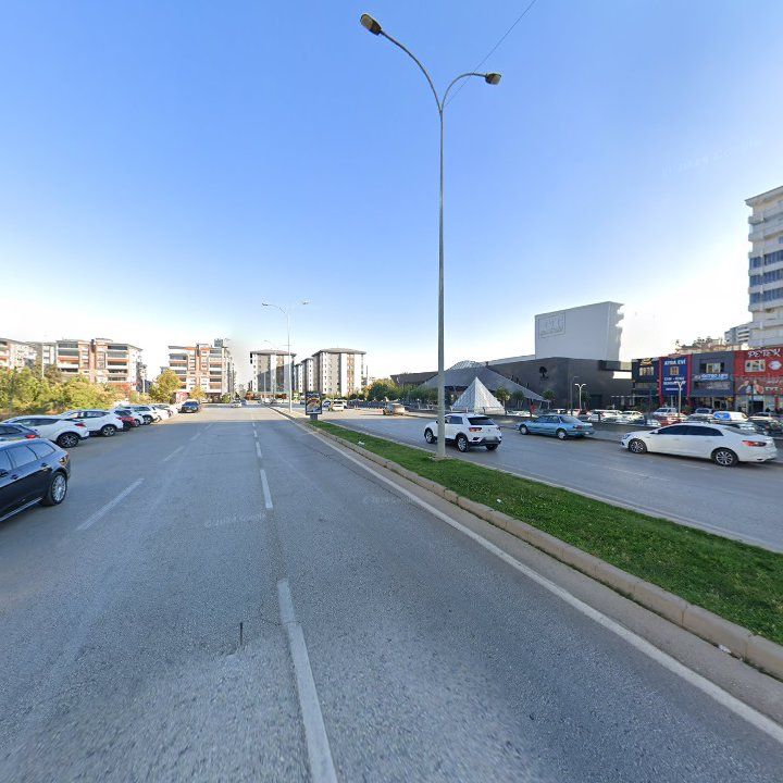 Fotoğraf 12