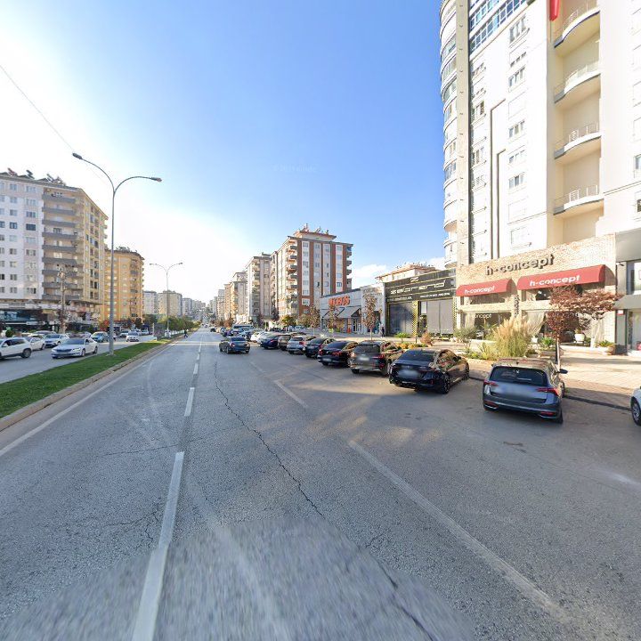 Fotoğraf 14