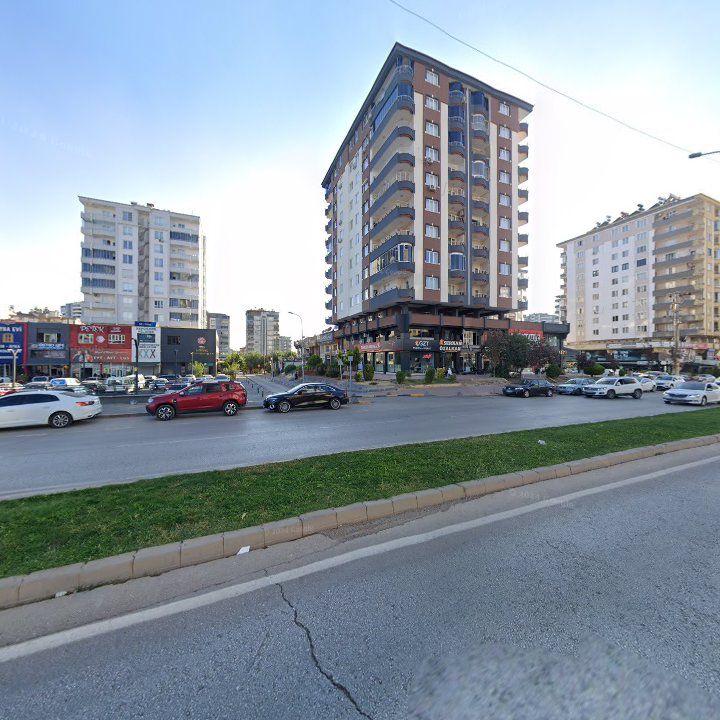 Fotoğraf 13