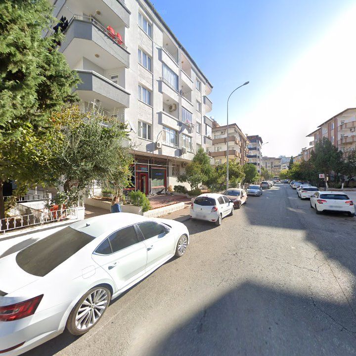 Fotoğraf 7