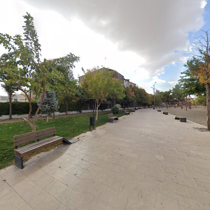 Fotoğraf 10