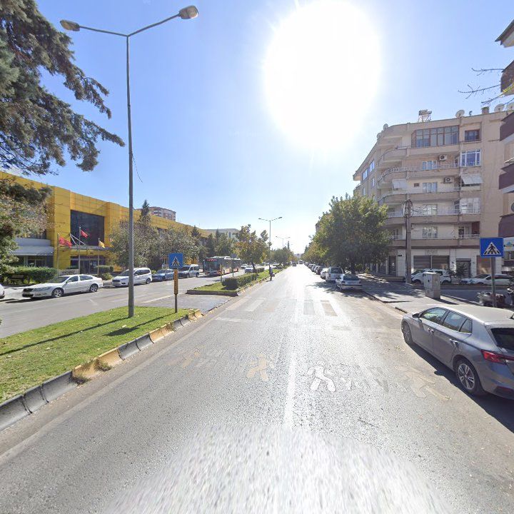 Fotoğraf 10