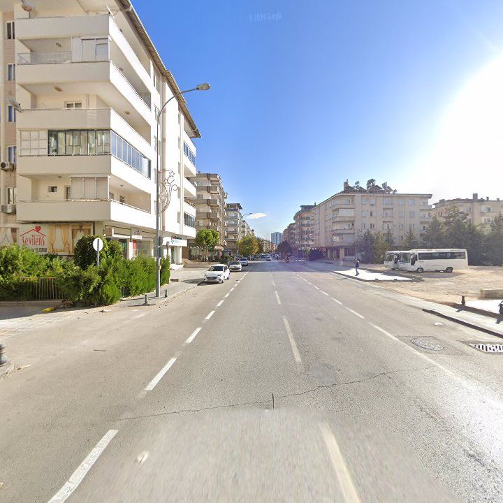 Fotoğraf 11
