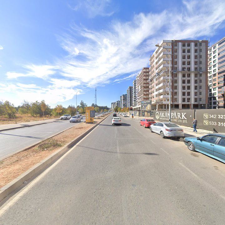 Fotoğraf 12