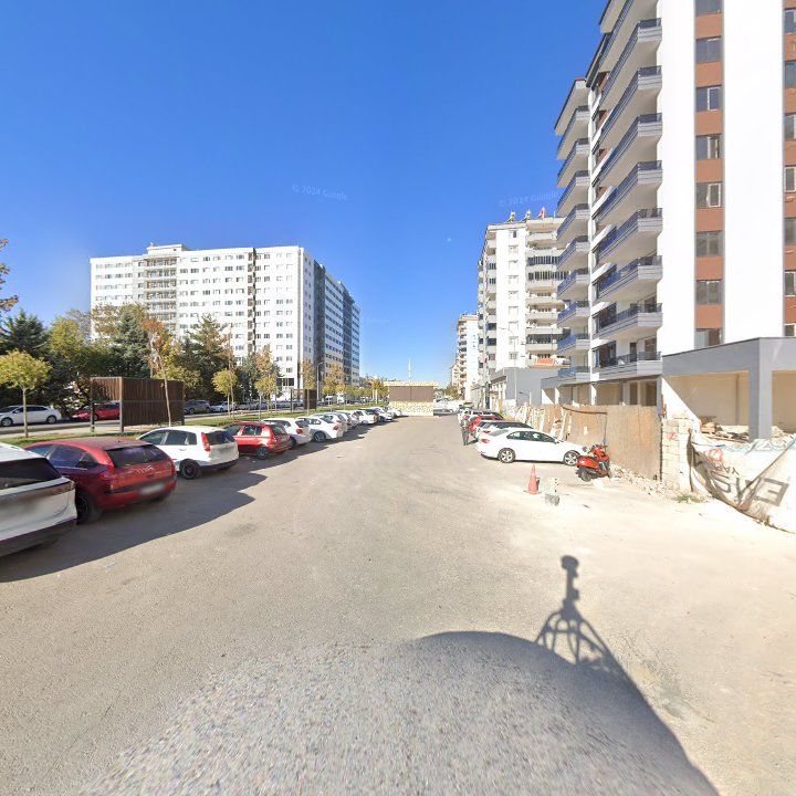 Fotoğraf 8