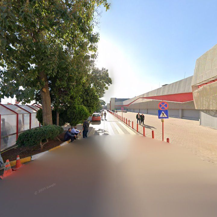 Fotoğraf 8