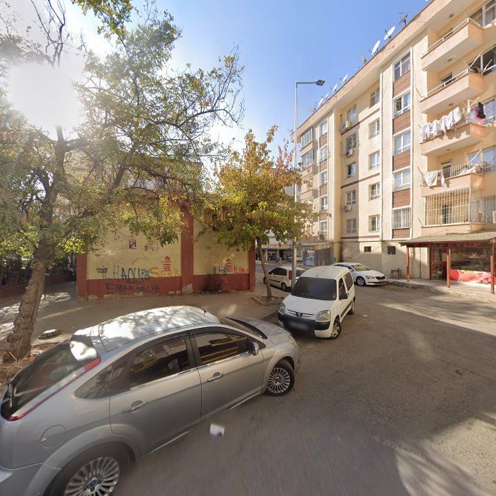Fotoğraf 4
