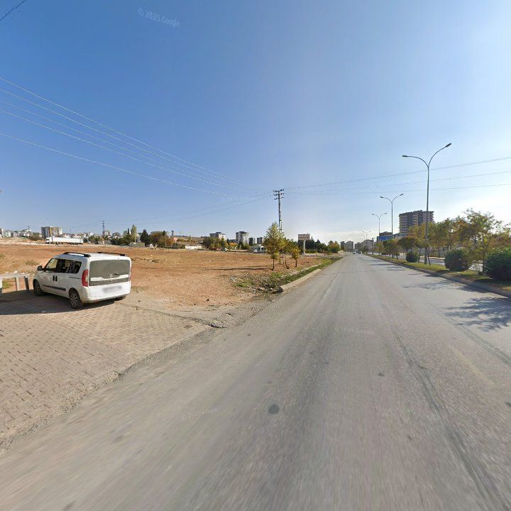 Fotoğraf 8