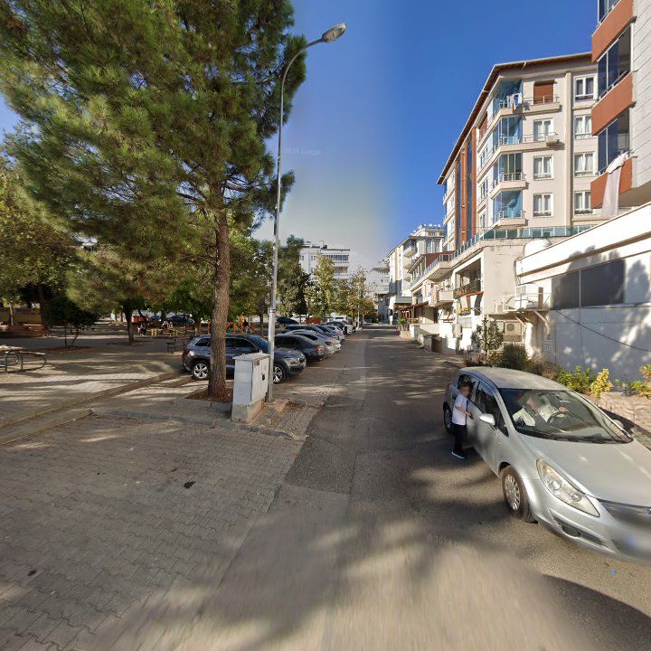 Fotoğraf 9