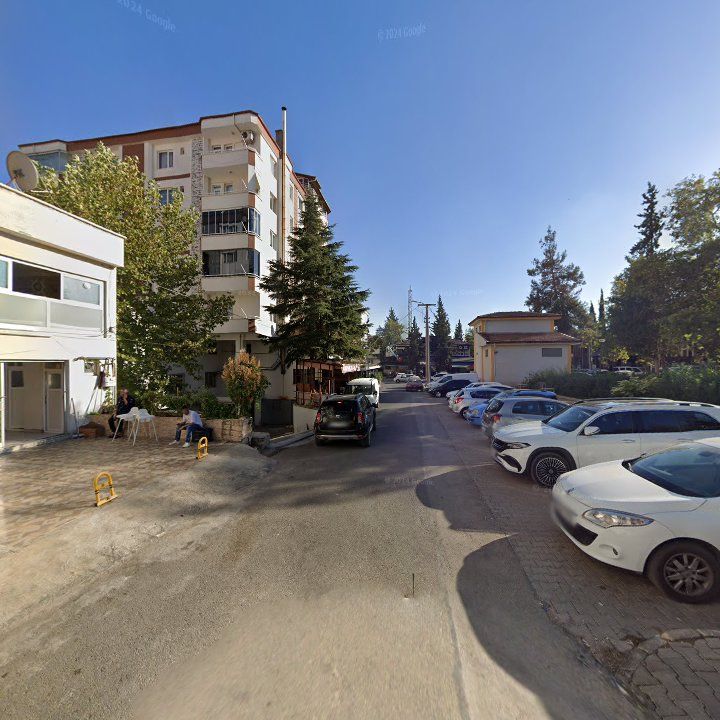 Fotoğraf 7