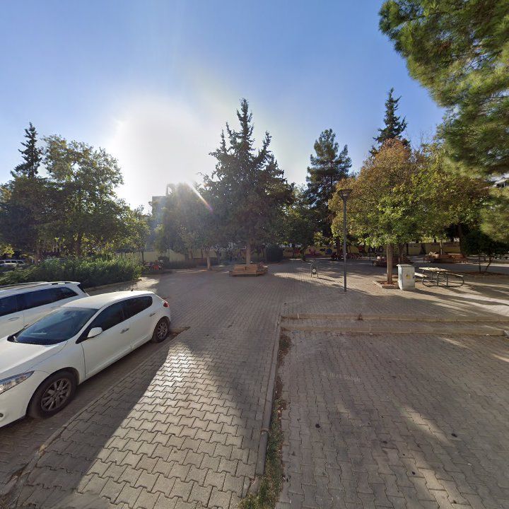 Fotoğraf 8