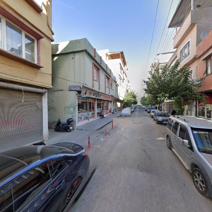 Fotoğraf 5