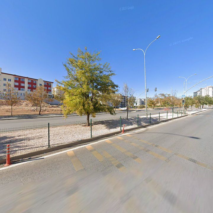 Fotoğraf 13