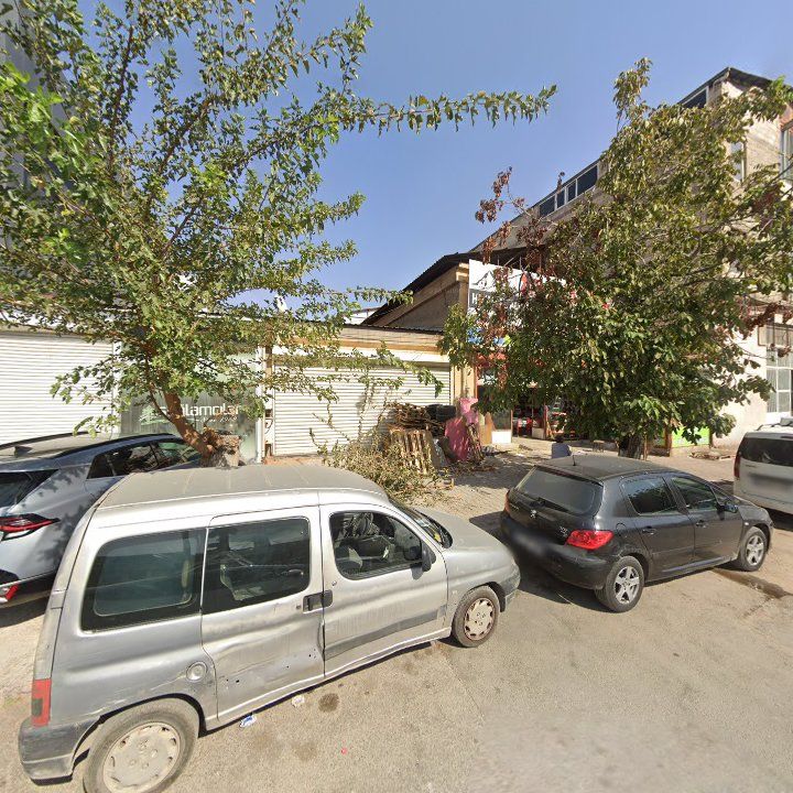 Fotoğraf 11