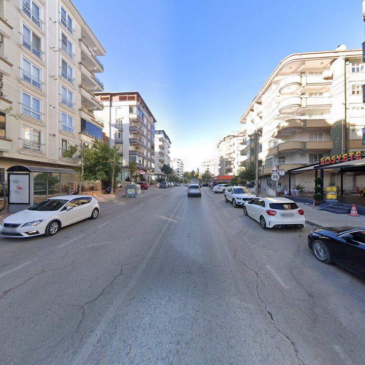 Fotoğraf 12