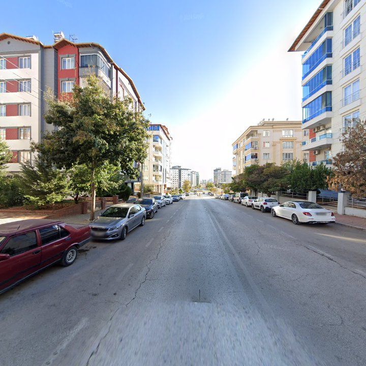 Fotoğraf 10